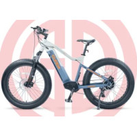 26 Inch Lithium Electric Vehicle New Design Mountain Electric Bike