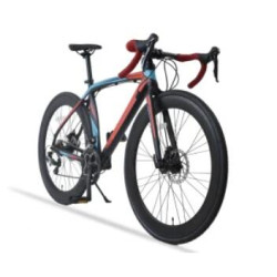 China Factory 700c Al Frame Racing Bike with Disc Brake