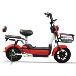 Lead-Acid Battery Electric Scooter Electric Bike City Bicycle Motorcycle