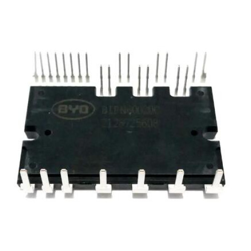 IPM-IGBT POWER MODULE BIPN60020C BIPN60030C BIPN60015C