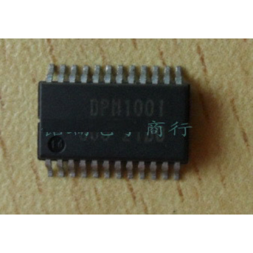 DPM1001 5pcs/lot