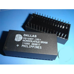 DS1230Y-100 DS12305pcs/lot