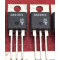 Q6010L4 Q6010 TO-220 silicon controlled rectifiers 5pcs/lot Q6010L4 Q6010 TO-220 silicon controlled rectifiers 5pcs/lot