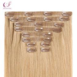 100% Unprocessed Brazilian Virgin Clip in Hair Extension