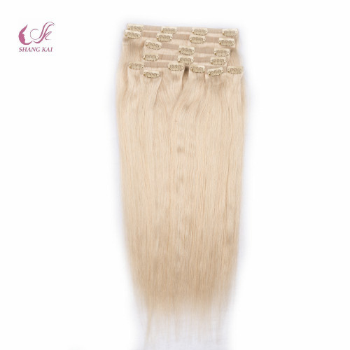 2020 Best Selling High Quality Cuticle Aligned Virgin Clip in Hair Extension