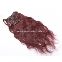 Brazilian Human Hair Clip in Human Hair Extensions