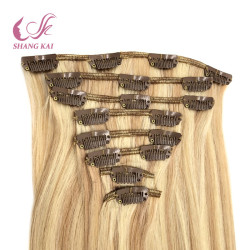 Double Drawn Natural Human Hair Clip in Extension