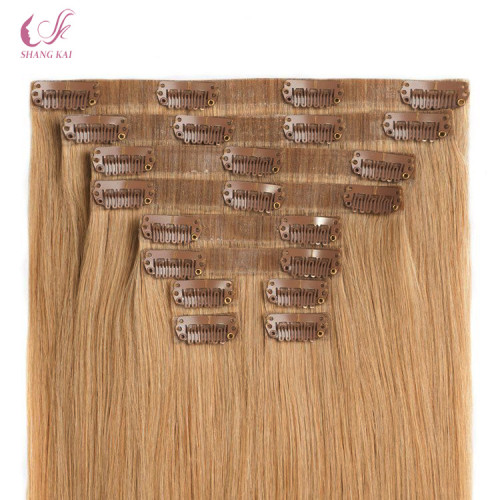 Double Drawn Virgin Hair Seamless Clip Hair Extensions