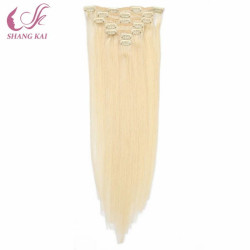 Factory Price 100% Human Hair Clip in Hair Extensions