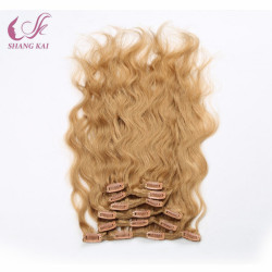 Factory Price Clips Hair Extension Brazilian Human Hair Remy Hair