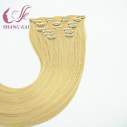 Factory Price Thickness End Luxy Seamless Remy Clip in Hair Extension