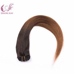 Fashionable and Convenient Remy Human Hair Clip in Hair Extension
