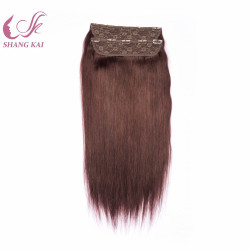 Premium Quality Remy Hair Extensions Wire Hair Lace with Clips