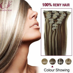 Straight Remy Human Hair Clip in Hair Extensions