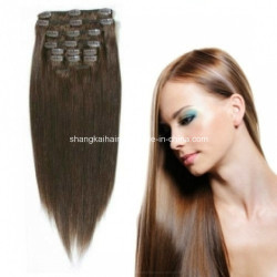 Supplier of Hair Salon Clip Hair Fashion Hair Extensions