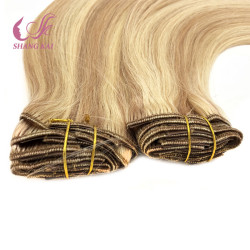 The Best Quality 100% Unprocessed Brazilian Human Hair Clip in Hair Extension
