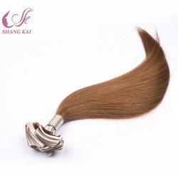 Top Grade Virgin Cuticle Aligned Russian Hair Remy Tape in Hair Extensions