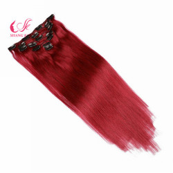 Wholesale 100% Human Virgin Brazilian Remy Clip in Hair Extension