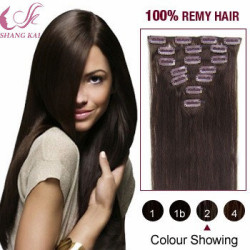 Wholesale 100% Real Natural Virgin Best 100% Brazilian Remy Clip in Hair Extension