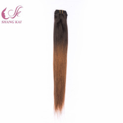 Wholesale European Double Drawn Clip in Hair Extension